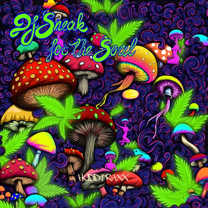 DJ Sneak - For The Soul, Vol. 1 [Hudd Traxx]