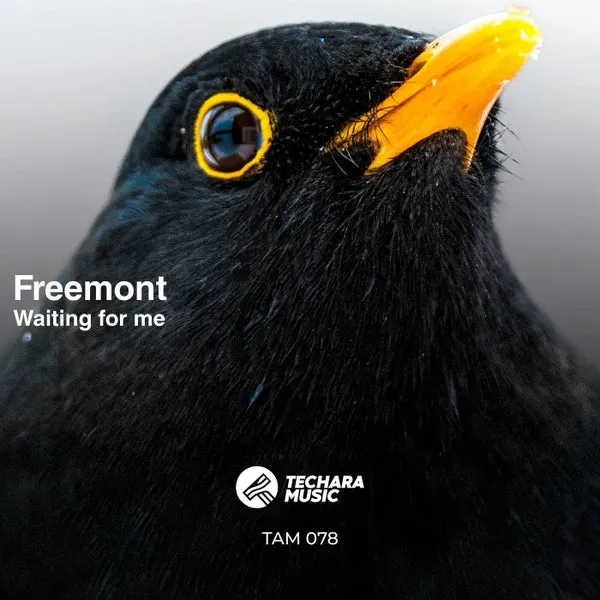 Freemont - Waiting for Me [Techara Music]