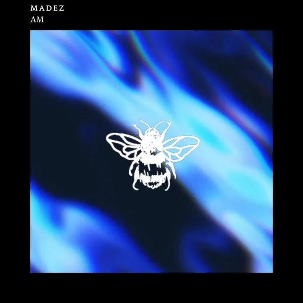 Madez - Am [Not So Serious Deep]