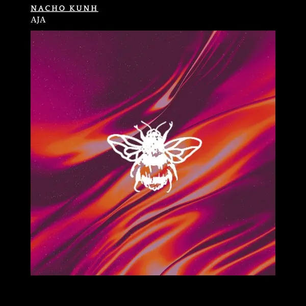 Nacho Kunh - AJA [Not So Serious Deep]