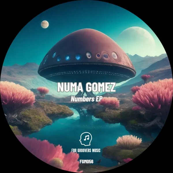 Numa Gomez - Numbers [For Groovers Music]