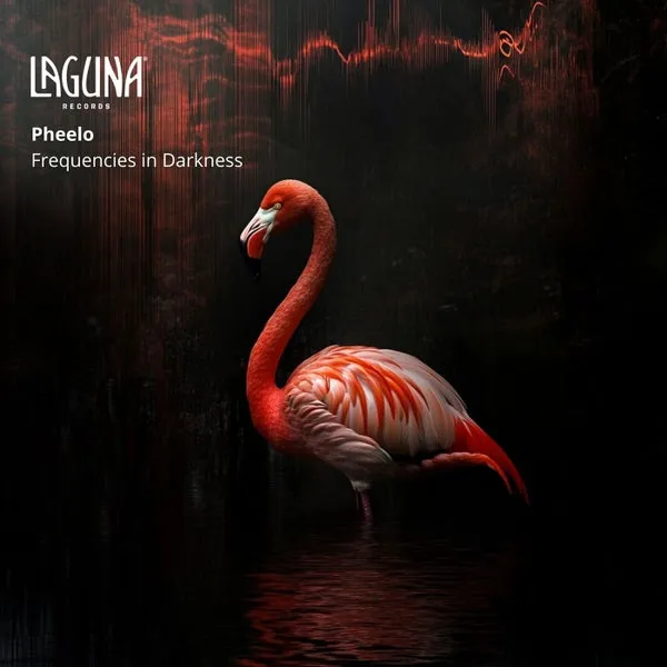 Pheelo - Frequencies in Darkness [Laguna Records]