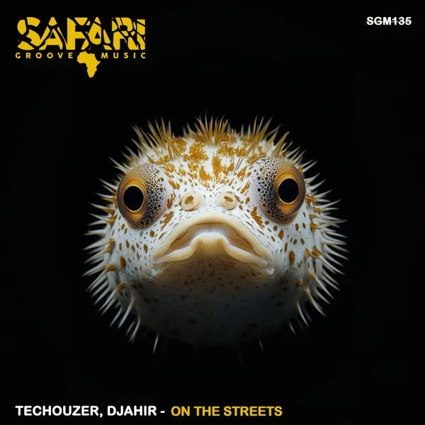 Techouzer, DJahir Miranda - On The Streets [Safari Groove Music]