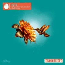 Ardalan - Drip (feat. Goldie Gold & Sharpness) [DIRTYBIRD]