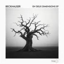 beckhäuser - En Deux Dimensions EP [Tonic D Records]