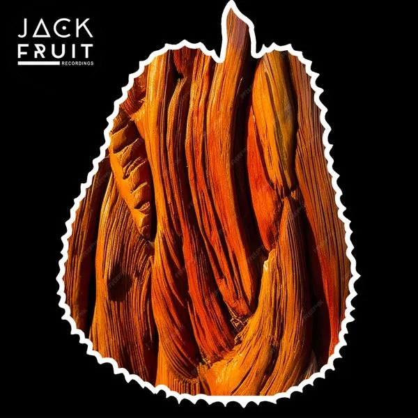 Dompe - Pure Funk [Jackfruit Recordings]
