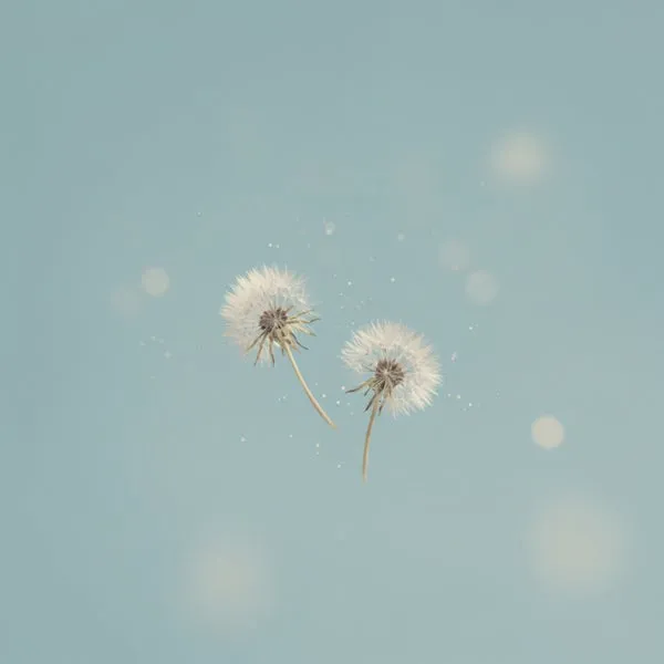 Martin Madia - Deep Memories [Inward Secrets]