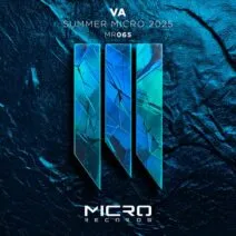 VA - VA Summer 2025 [Micro Records]