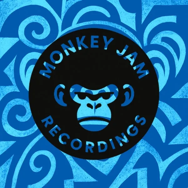 Damir Pushkar - Bungee [Monkey Jam Recordings]