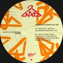VA - Summer Sampler '25 [What NxT]