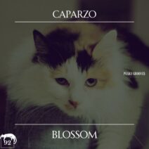 Caparzo - Blossom [Peaky Grooves]