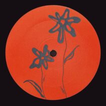 Chiara Manchia - CLARA007 [Clara Records]