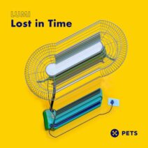 LUMI (FIN) - Lost In Time [Pets Recordings]