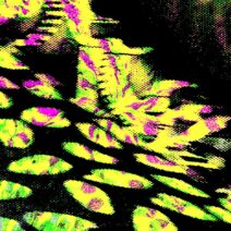 Matheiu - EYEAM003 [Rockets Audio (Berlin)]