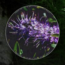 Mauro Arriagada - Come Back EP [Konzepte]