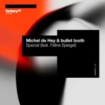 Michel De Hey, bullet tooth, Feline Spiegel - Special [Factory 93 Records]