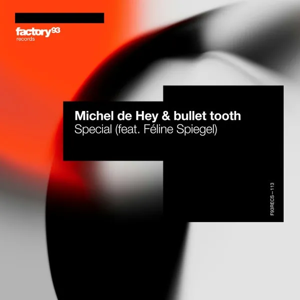 Michel De Hey, bullet tooth, Feline Spiegel - Special [Factory 93 Records]