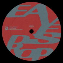 Paradom, JaySide, Ricci - Mood Swing [Eavesdrop Records]