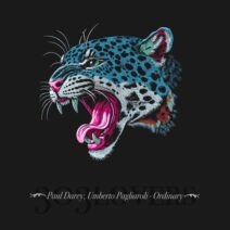 Paul Darey, Umberto Pagliaroli - Ordinary [303Lovers]