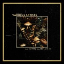 VA - Autumn Sampler 25' [Whoyostro Black]