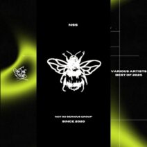 VA - Best Of 2025 [Not So Serious Deep]