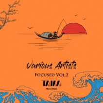 VA - Focused, Vol. 2 [Taika Records]