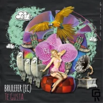 Brulefer (EC) - Te Gusta [GRUVIT]