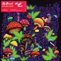 DJ Sneak - For The Soul, Vol. 2 [Hudd Traxx]