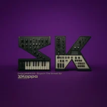 Dani Sinergia - Boys In The Street [Kappa Recordings]