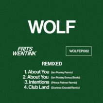 Frits Wentink - Remixed [Wolf Music Recordings]