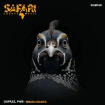 Gupazz, Phis - Brasilidades [Safari Groove Music]