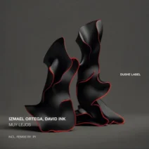 Izmael Ortega, David INK - Muy Lejos [Dushe Label]