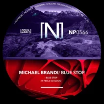 Michael Brandi - Blue Stop [NOPRESET Records]