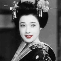 Pyroid - ClassicsDensity [MECANOPLASTICA RECORDS]