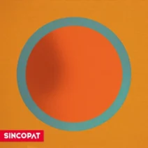 VA - 2025 DAY COLLECTION [Sincopat]