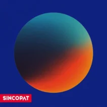 VA - 2025 NIGHT COLLECTION [Sincopat]