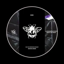 VA - Best Of 2025 [Not So Serious]