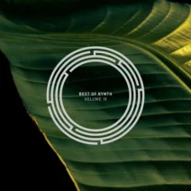 VA - Best Of RYNTH, Vol. 9 [RYNTH]