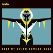 VA - Best Of Senso Sounds 2025 [Senso Sounds]