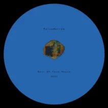 VA - Best Of Tech House 2025 [Psicodelica]