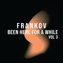 VA - Been Here For A While, Vol. 3 [Frucht]