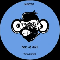 VA - Best of 2025 [Monkey Stereo Records]