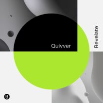 Quivver - Revelate [BEDQUIVREV]