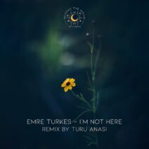 Emre Turkes - I'm Not Here [BTM010]