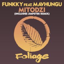 Funkky, Mavhungu - Mitodzi (Incl. Jimpster Remixes) [FN071]