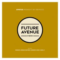 APNITUS - Midnight Sky (Remixes) [FA146]
