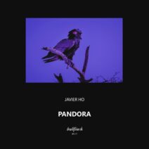 Javier Ho - Pandora [BF317]