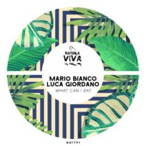 Luca Giordano, Mario Bianco - What Can I Say [NAT791]