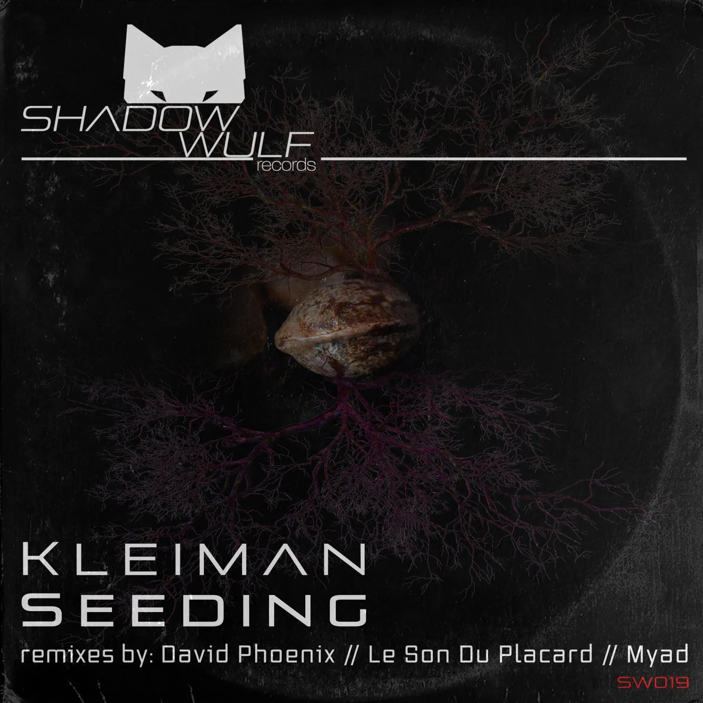 Kleiman – Seeding [SW019]