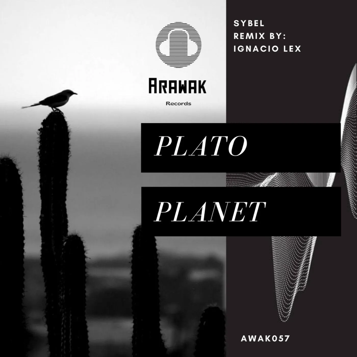 Sybel – Plato Planet